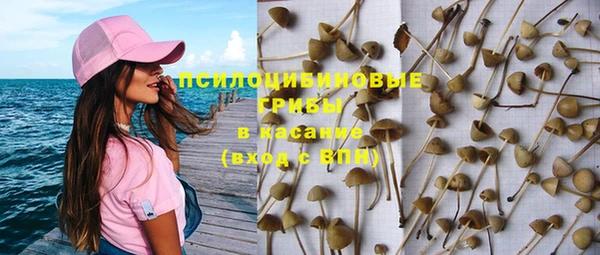 mix Вяземский