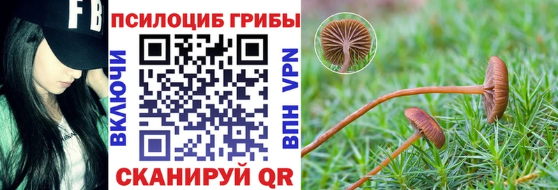Галлюциногенные грибы Magic Shrooms  даркнет сайт  маркетплейс как зайти  Городище 
